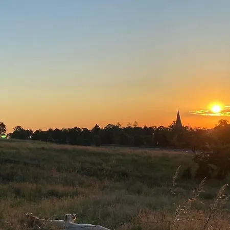 Mit Sauna Am Wald - Eifel