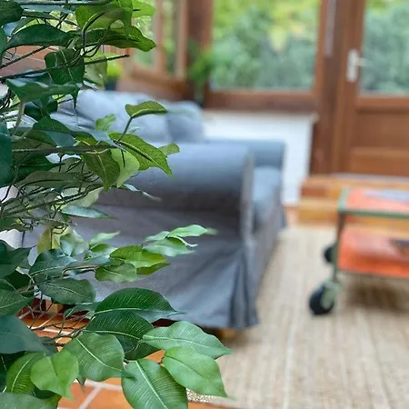 Mit Sauna Am Wald - Eifel